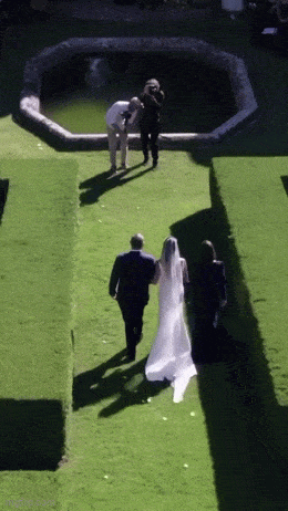 Acid GIFs, October 13 (25 gifs)