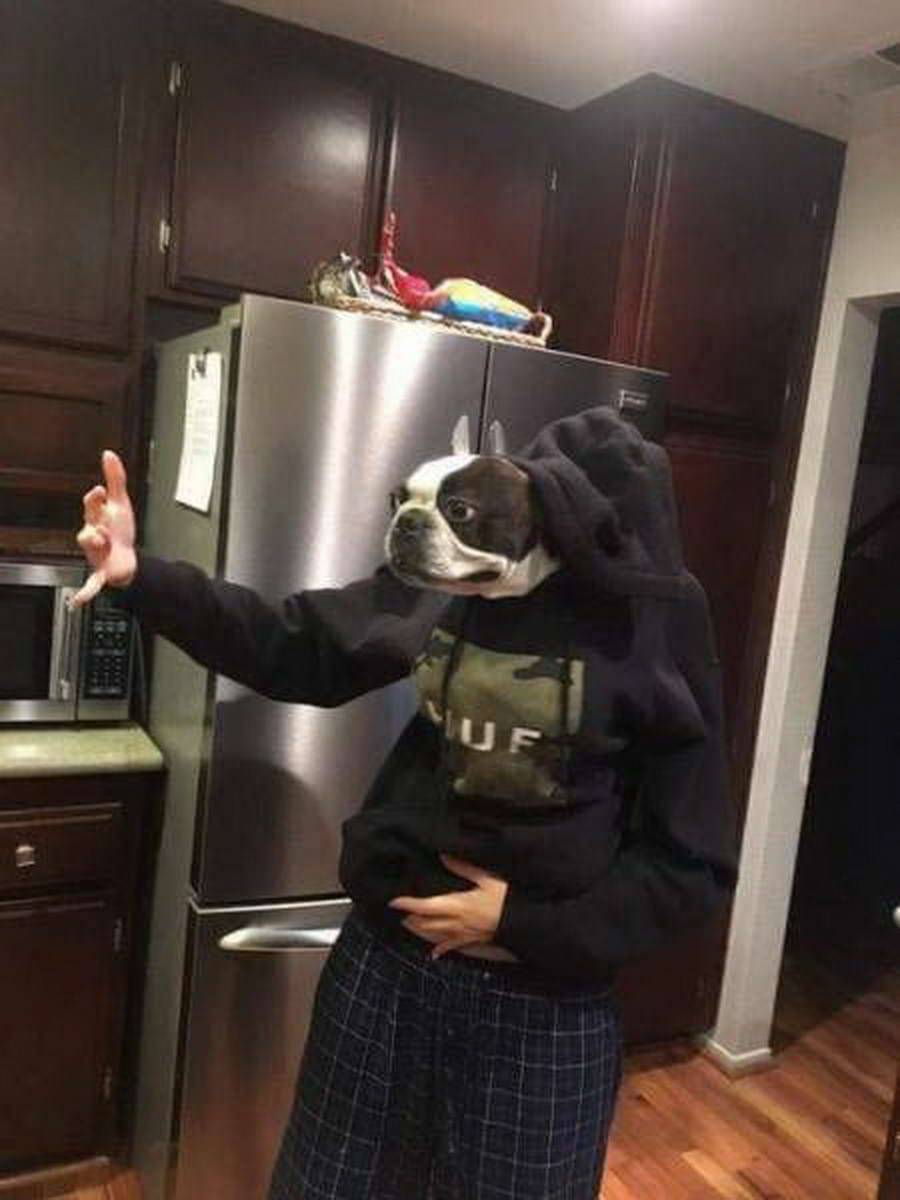 Daily Pictures. Part 1 (60 pics)