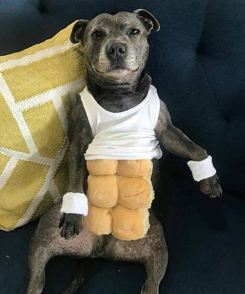 Daily Pictures. Part 1 (60 pics)