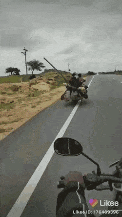 Acid GIFs, October 14 (25 gifs) Acid GIFs, October 14 (25 gifs)