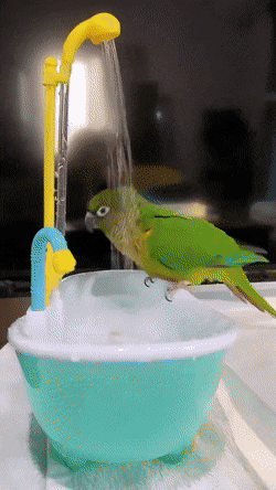 Acid GIFs, October 14 (25 gifs) Acid GIFs, October 14 (25 gifs)