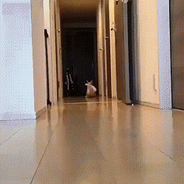 Acid GIFs, October 14 (25 gifs) Acid GIFs, October 14 (25 gifs)
