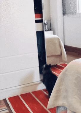 Acid GIFs, October 14 (25 gifs) Acid GIFs, October 14 (25 gifs)
