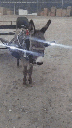 Acid GIFs, October 14 (25 gifs) Acid GIFs, October 14 (25 gifs)