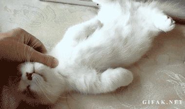 Acid GIFs, October 14 (25 gifs) Acid GIFs, October 14 (25 gifs)