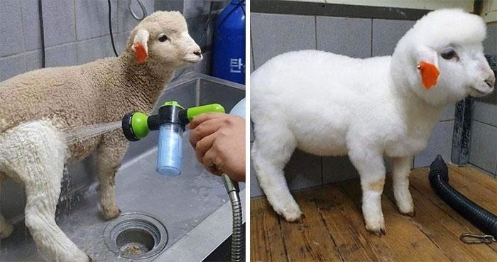 Before And After Cleaning (25 pics)