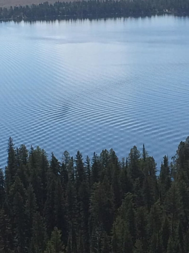 Photos For Perfectionists (21 pics)