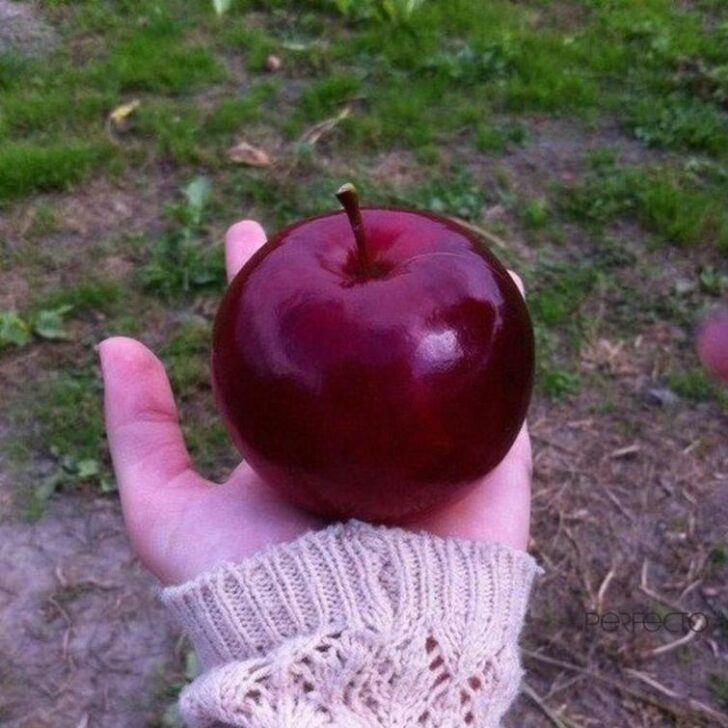 Photos For Perfectionists (21 pics)