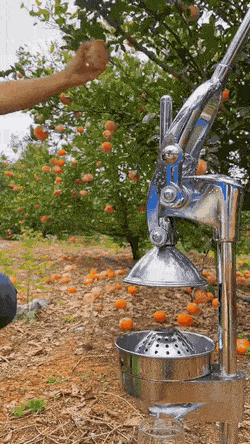 Acid GIFs, October 15 (25 gifs) Acid GIFs, October 15 (25 gifs)
