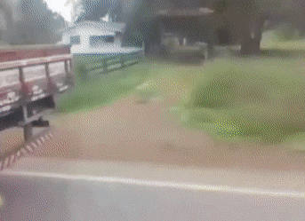 Acid GIFs, October 15 (25 gifs) Acid GIFs, October 15 (25 gifs)
