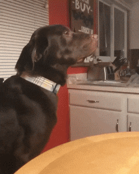 Acid GIFs, October 15 (25 gifs) Acid GIFs, October 15 (25 gifs)