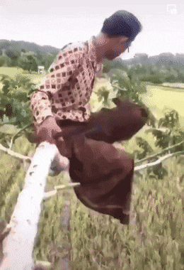 Acid GIFs, October 15 (25 gifs) Acid GIFs, October 15 (25 gifs)