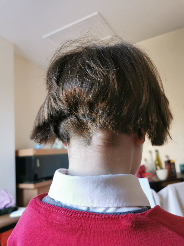Awful Haircuts (21 pics)