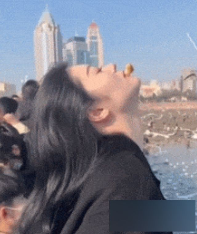 Acid GIFs, October 16 (25 gifs)
