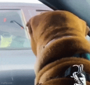 Acid GIFs, October 16 (25 gifs) Acid GIFs, October 16 (25 gifs)
