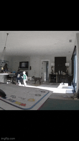 Acid GIFs, October 16 (25 gifs) Acid GIFs, October 16 (25 gifs)