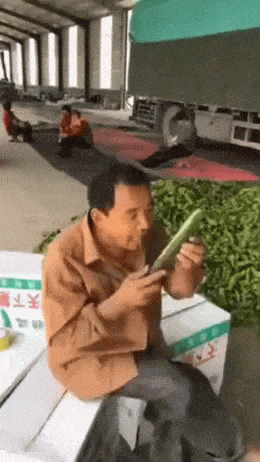 Acid GIFs, October 16 (25 gifs) Acid GIFs, October 16 (25 gifs)