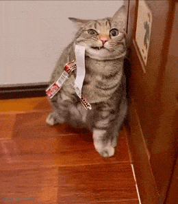 Acid GIFs, October 16 (25 gifs) Acid GIFs, October 16 (25 gifs)