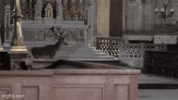 Acid GIFs, October 16 (25 gifs) Acid GIFs, October 16 (25 gifs)