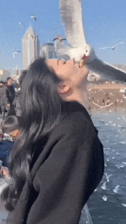 Acid GIFs, October 16 (25 gifs) Acid GIFs, October 16 (25 gifs)