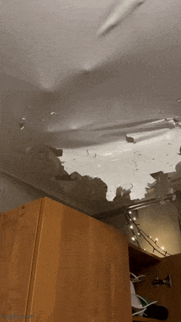 Acid GIFs, October 16 (25 gifs) Acid GIFs, October 16 (25 gifs)