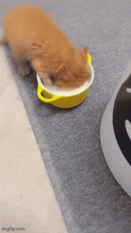 Acid GIFs, October 16 (25 gifs) Acid GIFs, October 16 (25 gifs)