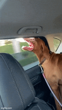 Acid GIFs, October 16 (25 gifs) Acid GIFs, October 16 (25 gifs)