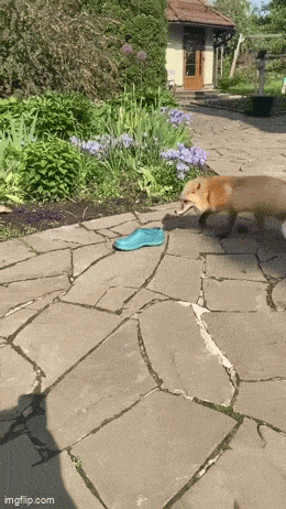 Acid GIFs, October 16 (25 gifs) Acid GIFs, October 16 (25 gifs)