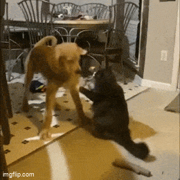 Acid GIFs, October 16 (25 gifs) Acid GIFs, October 16 (25 gifs)