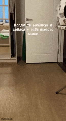 Acid GIFs, October 16 (25 gifs) Acid GIFs, October 16 (25 gifs)