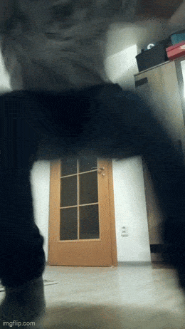 Acid GIFs, October 16 (25 gifs) Acid GIFs, October 16 (25 gifs)