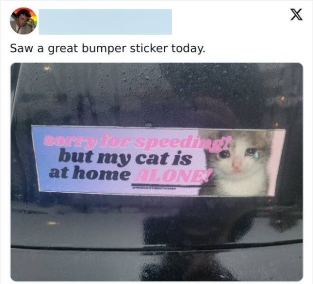 Funny Bumper Stickers (21 pics)