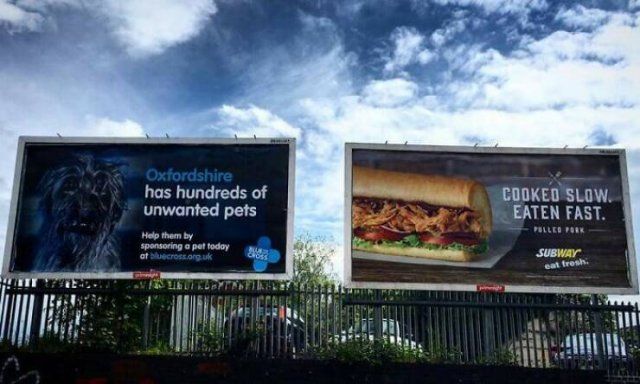 Hilarious Photos From Around The World (18 pics)