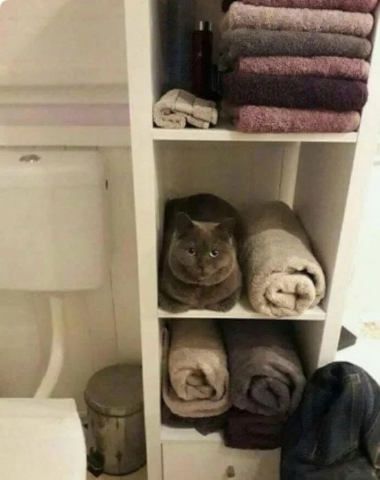 Perfect Camouflage (15 pics)