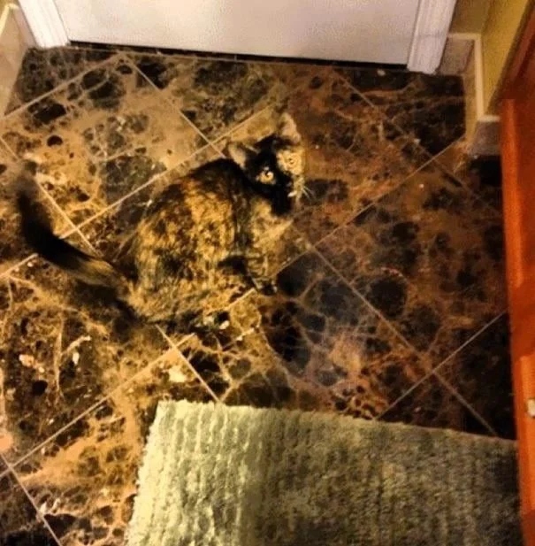 Perfect Camouflage (15 pics)