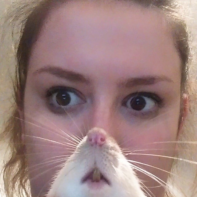 Funny Pets (25 pics)