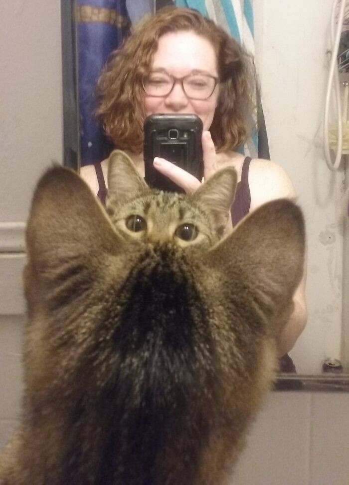 Funny Pets (25 pics)