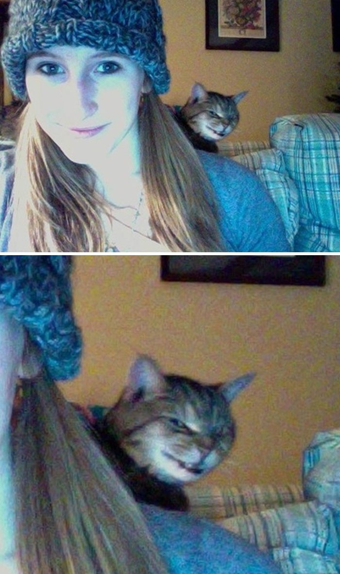 Funny Pets (25 pics)