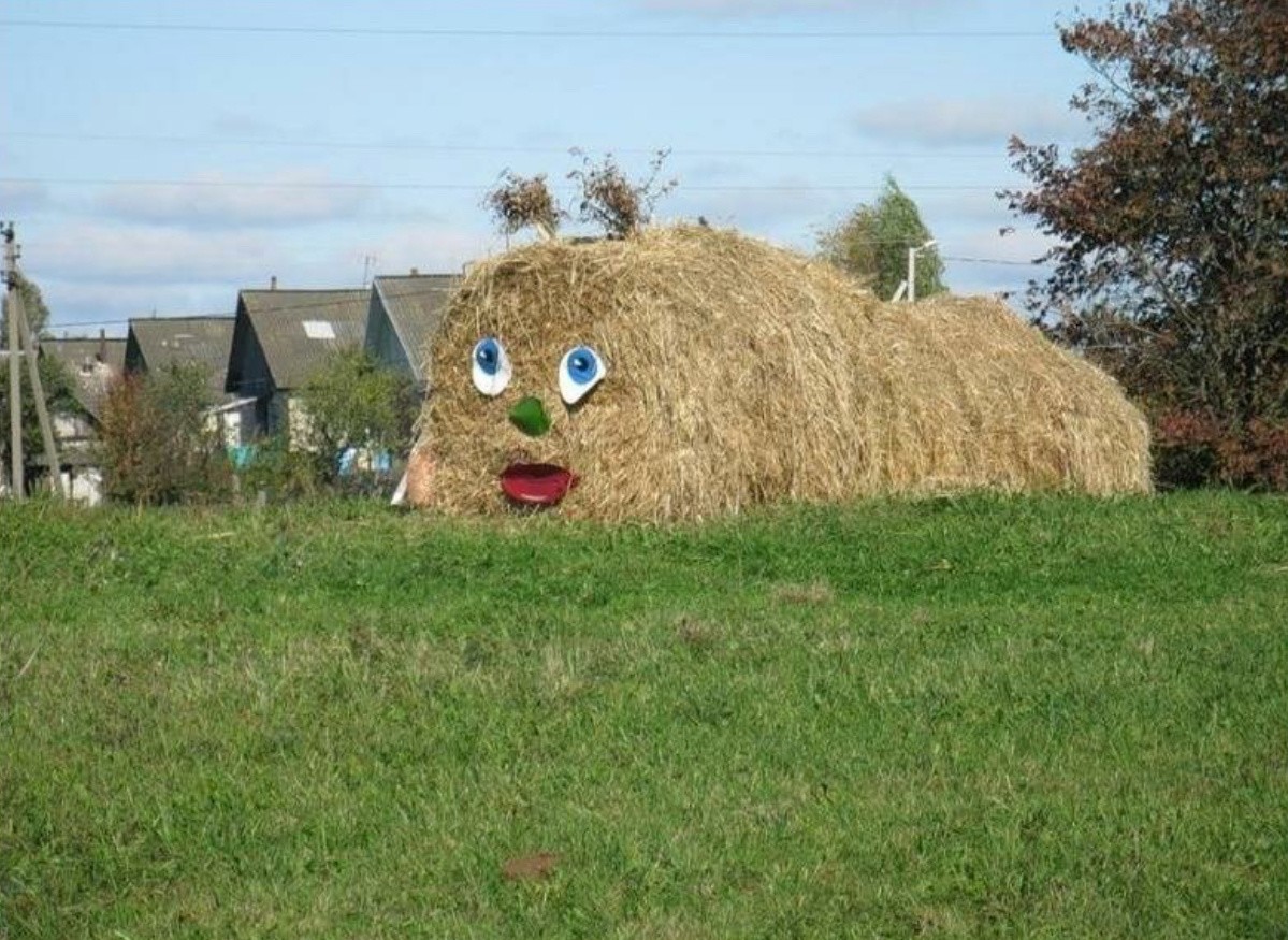 Redneck Inventions (16 pics)