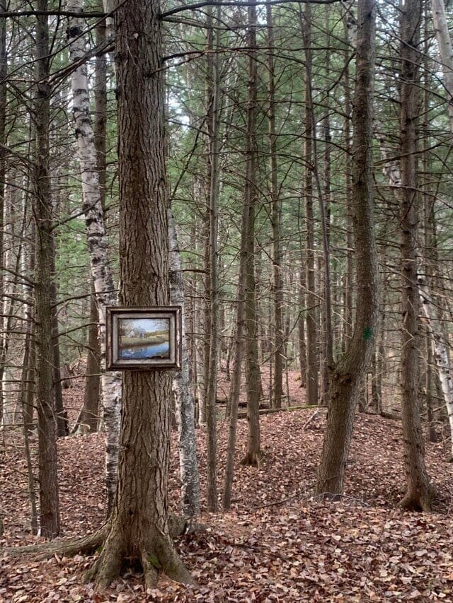 Unusual Finds In The Forest (15 pics)