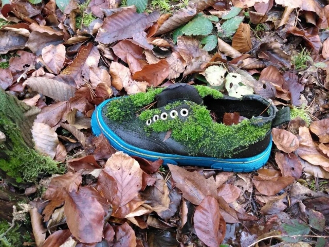 Unusual Finds In The Forest (15 pics)