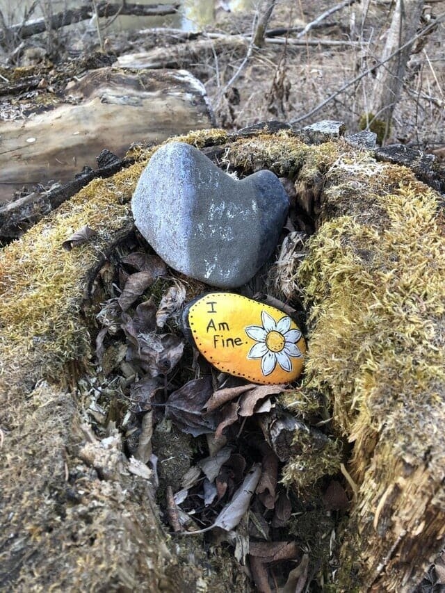 Unusual Finds In The Forest (15 pics)