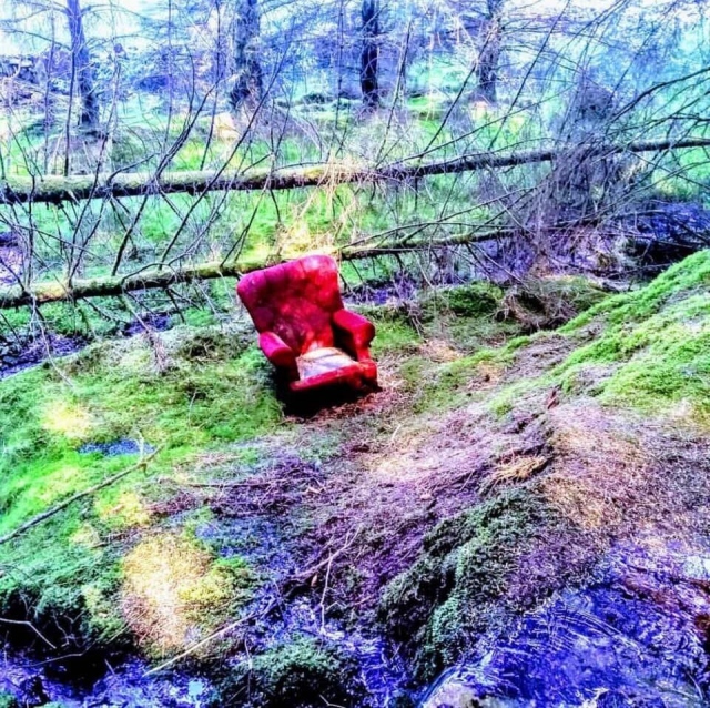 Unusual Finds In The Forest (15 pics)