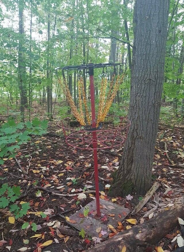Unusual Finds In The Forest (15 pics)