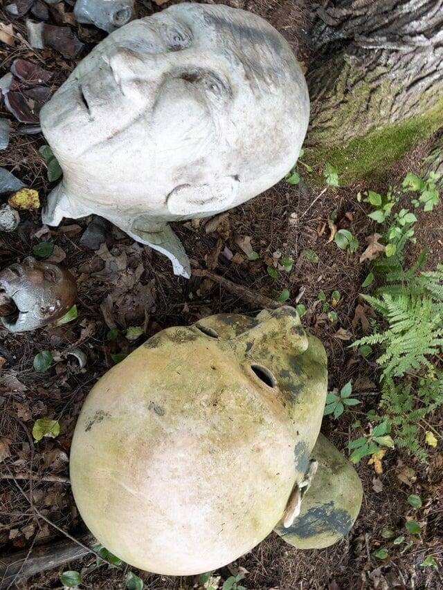 Unusual Finds In The Forest (15 pics)