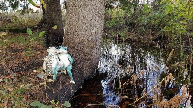 Unusual Finds In The Forest (15 pics)