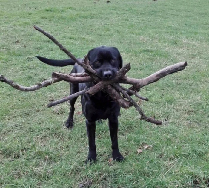 Strange Finds And Situations (19 pics)