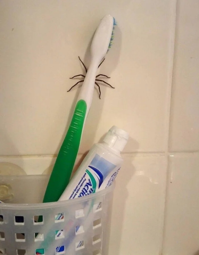 Strange Finds And Situations (19 pics)