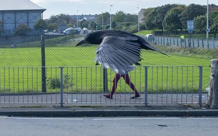 Strange Finds And Situations (19 pics)
