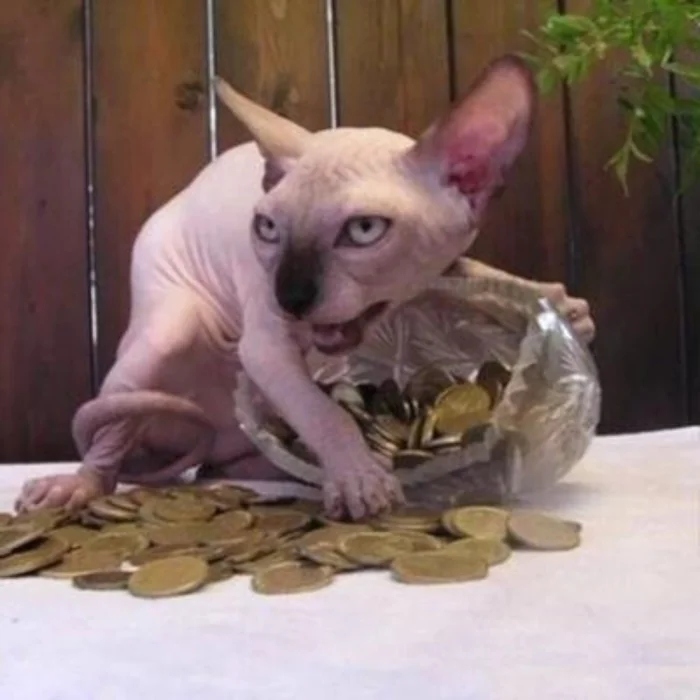 Strange Finds And Situations (19 pics)